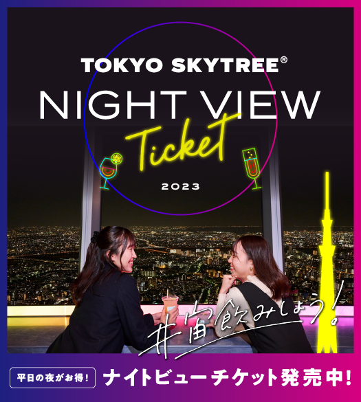 ナイトビューチケット