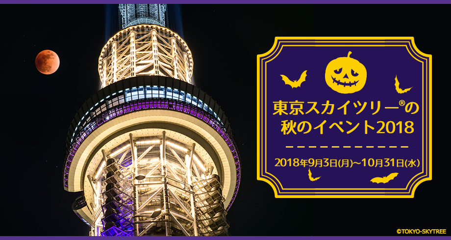 メインビジュアル画像