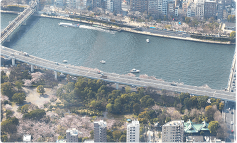 東京スカイツリーから眺む春の景色(イメージ)