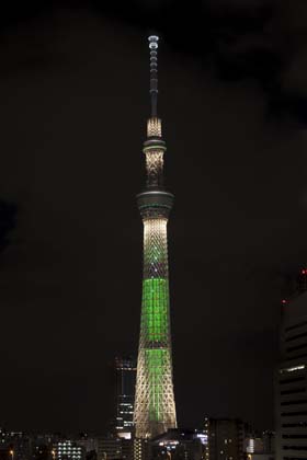 本日のライティング