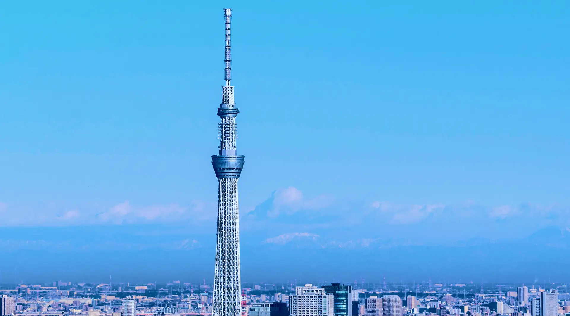 青空を背景に、淡い青みを帯びた白「スカイツリーホワイト」で彩られた東京スカイツリーが、東京の街並みから真っ直ぐ空へと伸びている様子。