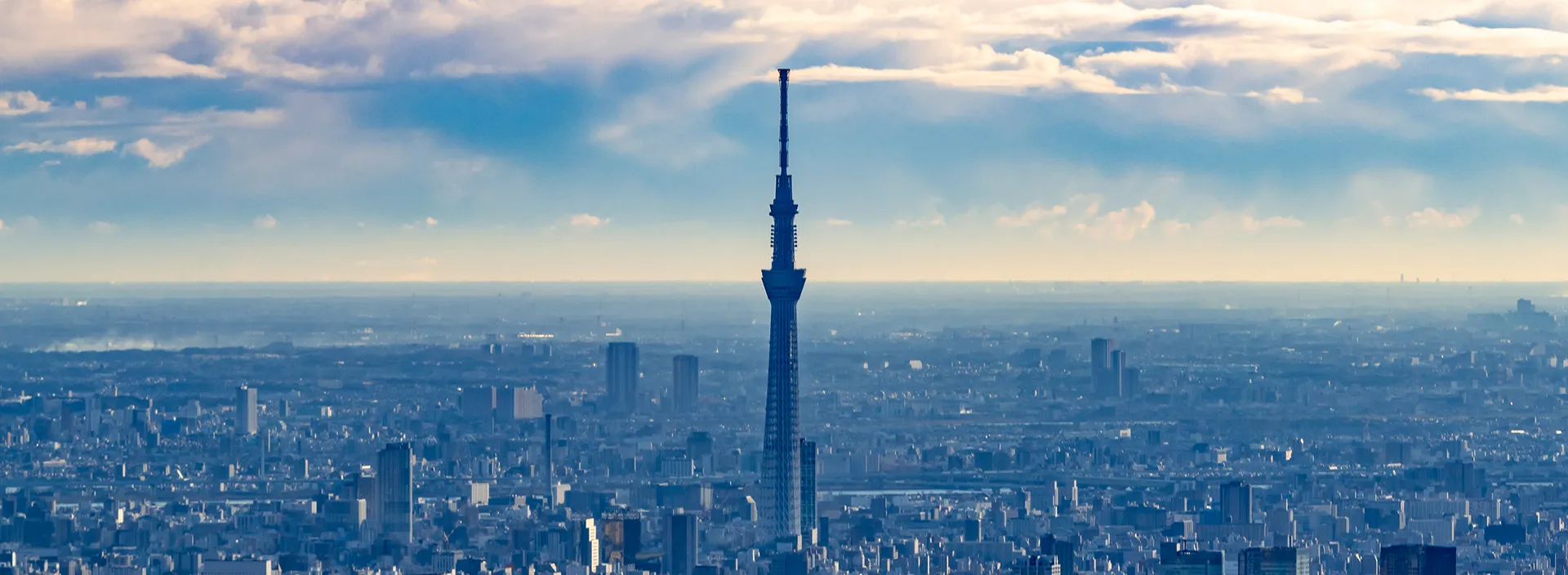 広大な東京の街並みの中心に、空の色を反射して青みがかった白に輝く東京スカイツリーが立ち、上空の白い雲や青空のグラデーションに溶け込むように佇んでいる風景。