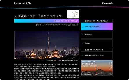 パナソニック株式会社「EVERLEDS TOKYO SKYTREE & LED PROJECT」