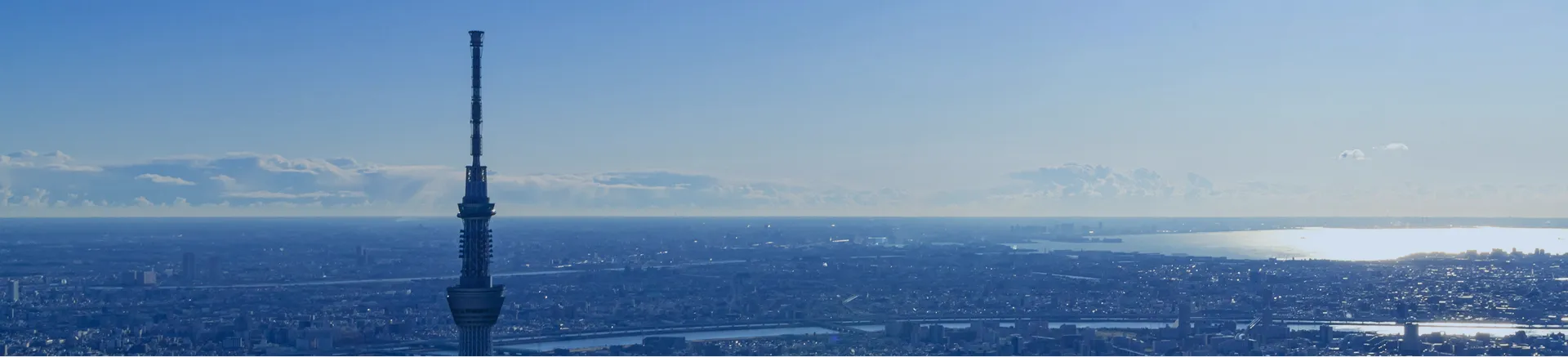 東京スカイツリーの先端と、眼下に広がる東京の街並み、遠くに見える海と水平線