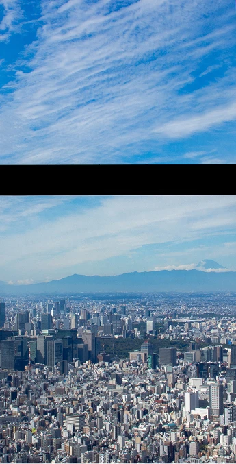 展望台から一望する、地平線まで広がる東京の街並み。