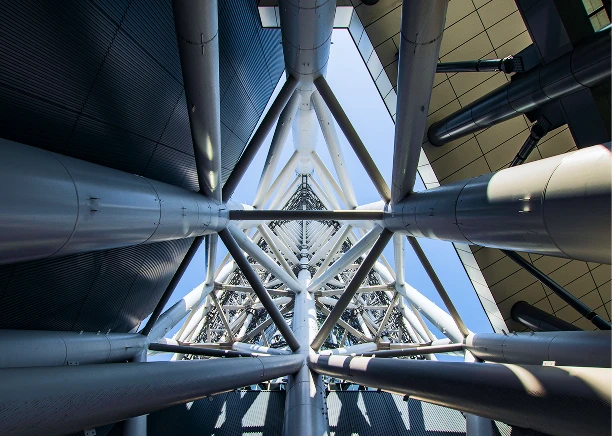 眼下に広がる広大な東京の街並みと、右側に高くそびえ立つ東京スカイツリー。