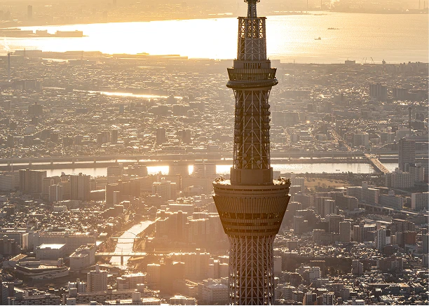 夕暮れ時の黄金色に染まる東京の街並みと、その中心に佇む東京スカイツリーを上空から捉えた風景。