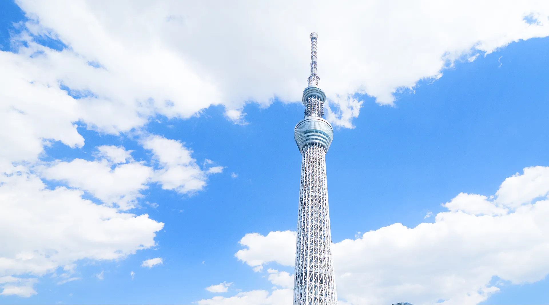 青空に向かって真っ直ぐに伸びる、白く美しい東京スカイツリーの全景。