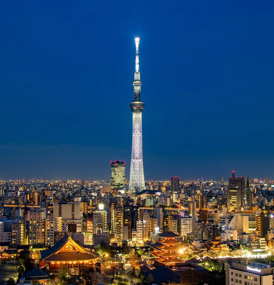 浅草の伝統的な寺院の街並みの向こうに、鮮やかに光を放つ東京スカイツリーがそびえ立つ夜のパノラマ。