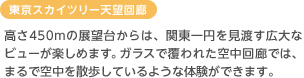 東京スカイツリー天望回廊 高さ450mの展望台からは、関東一円を見渡す広大なビューが楽しめます。ガラスで覆われた空中回廊では、まるで空中を散歩しているような体験ができます。