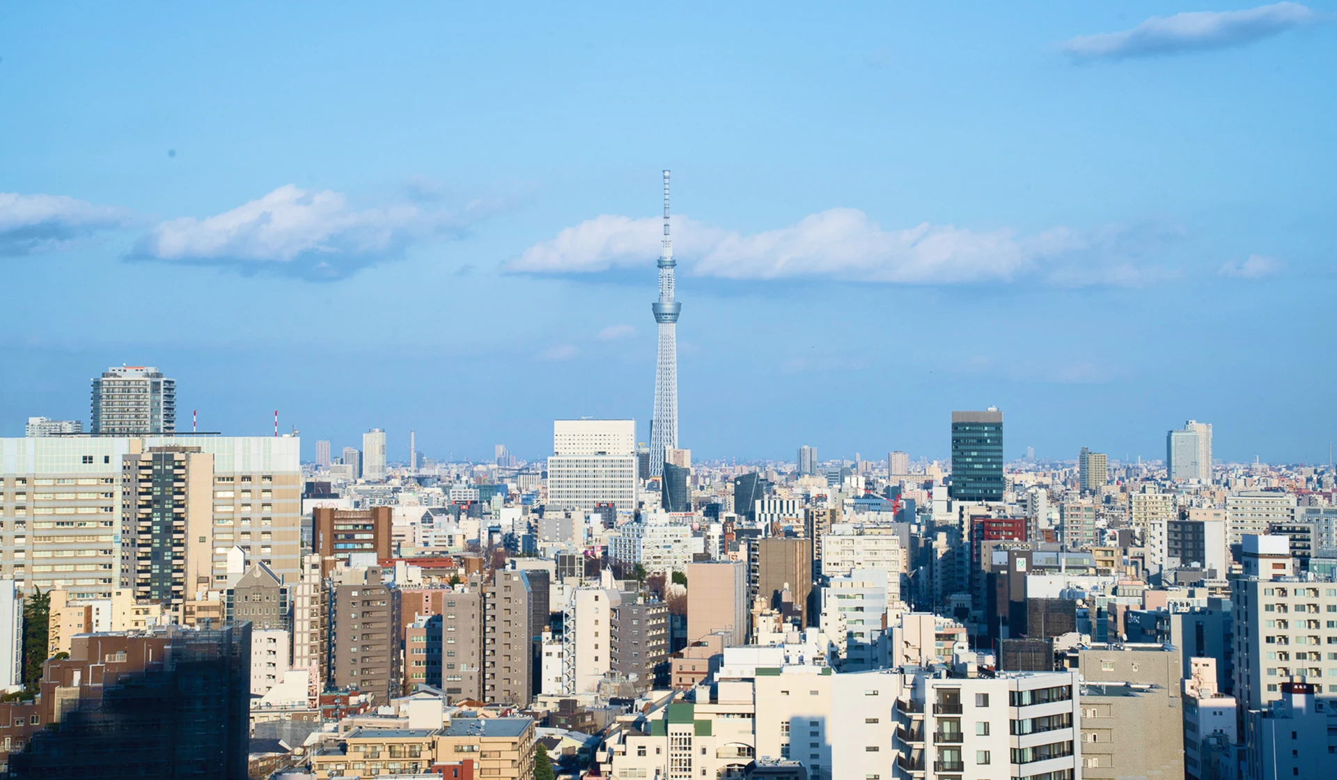 川沿いの街並み越しにそびえる東京スカイツリーの全景と青空