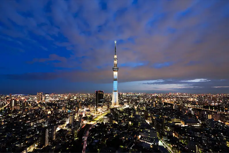 夜景の東京スカイツリーを中心に広がる都市景観