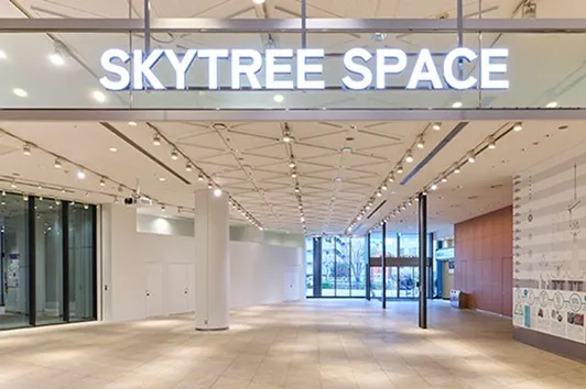 緩やかにカーブを描くパノラマウィンドウと、等間隔に並ぶ白い柱の様子。