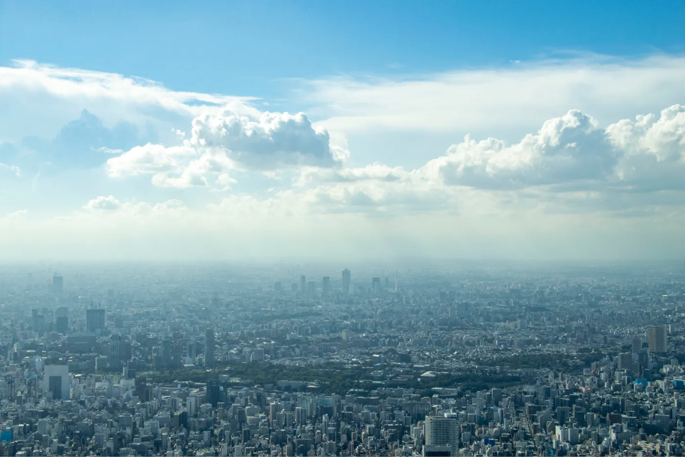 展望台から見下ろす東京のパノラマビュー
