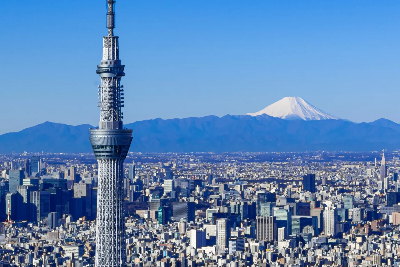 晴天の街並みにそびえ立つ東京スカイツリーと富士山