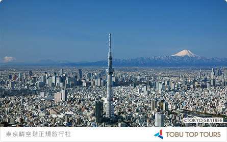 讓您更加愉快地暢遊東京晴空塔®的正規旅行社