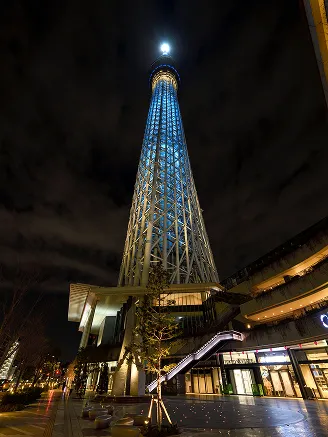 夜の静寂の中に白く光り輝く東京スカイツリーの全景と、スカイツリータウン。