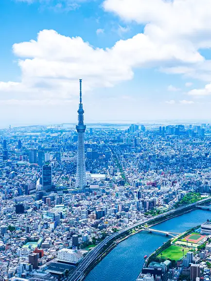 青空と白い雲の下、隅田川に沿って広がる東京の街並みと、中央にそびえ立つ東京スカイツリー。川辺の緑地や密集するビル群を高い視点から捉えた、鮮やかで開放感のある風景。