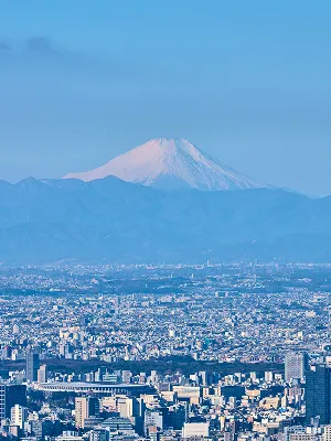 淡い空を背景にした富士山の全景。市街地の上にどっしりと構える富士山が、青みがかった静かな色調で捉えられている。