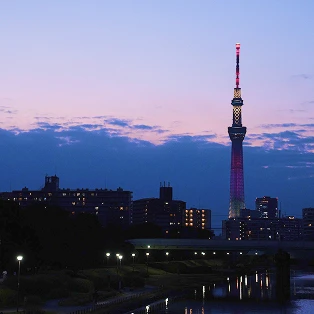 夕闇の空を背景にライトアップされた東京スカイツリーと、手前に広がる街並みや川。