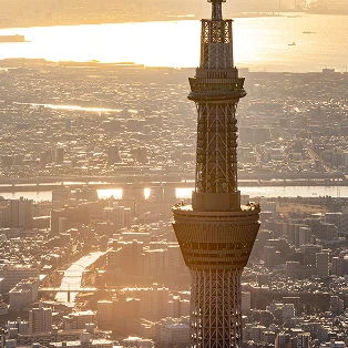 夕暮れ時の黄金色に染まる東京の街並みと、その中心に佇む東京スカイツリーを上空から捉えた風景。