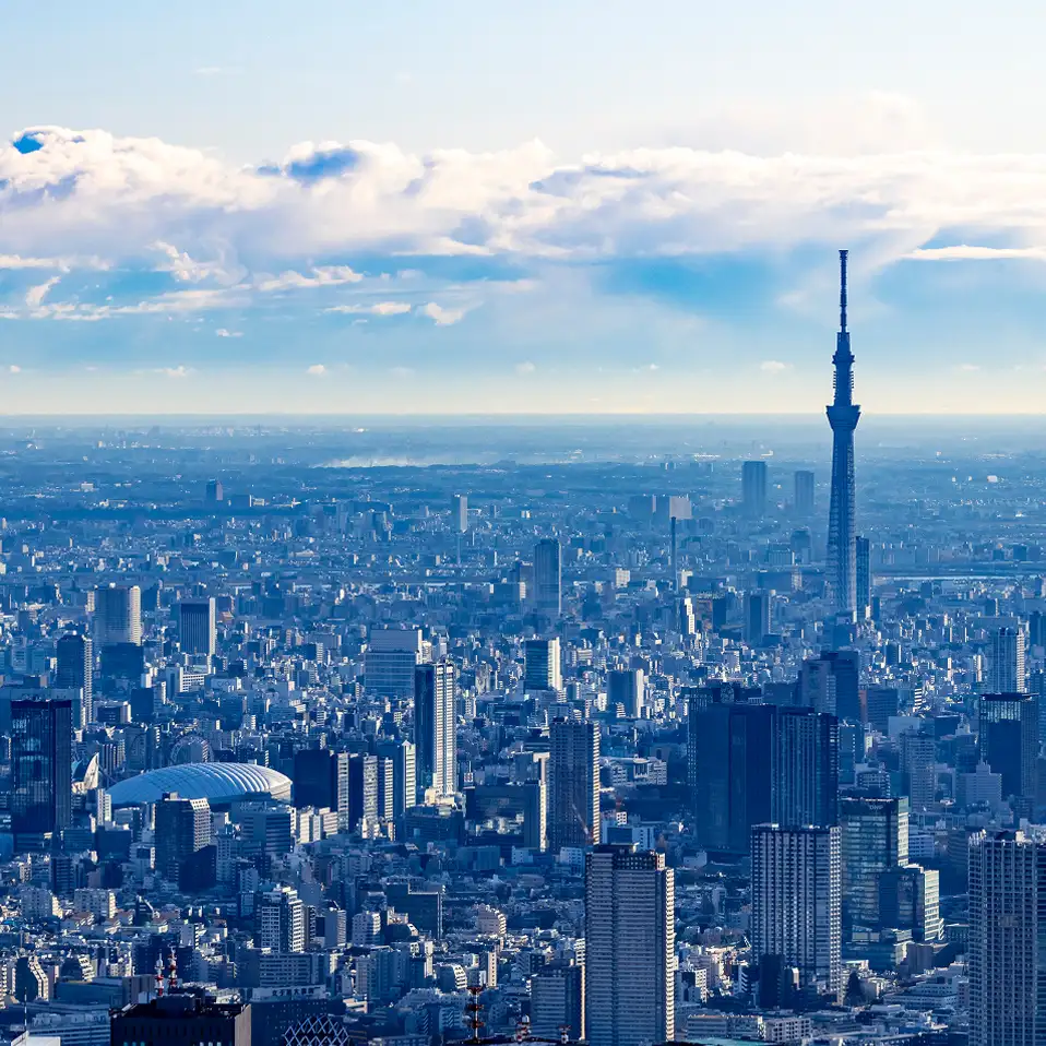 眼下に広がる広大な東京の街並みと、右側に高くそびえ立つ東京スカイツリー。