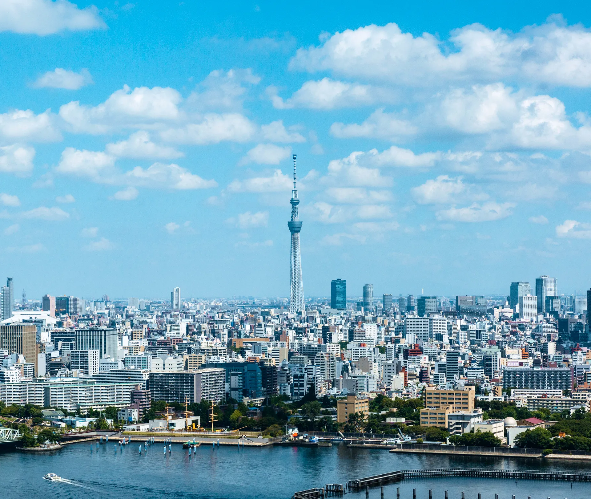 青空の下に広がる東京の広大なパノラマ風景。高層ビル群が地平線まで続き、手前には緑豊かな公園や密集した市街地が見える。