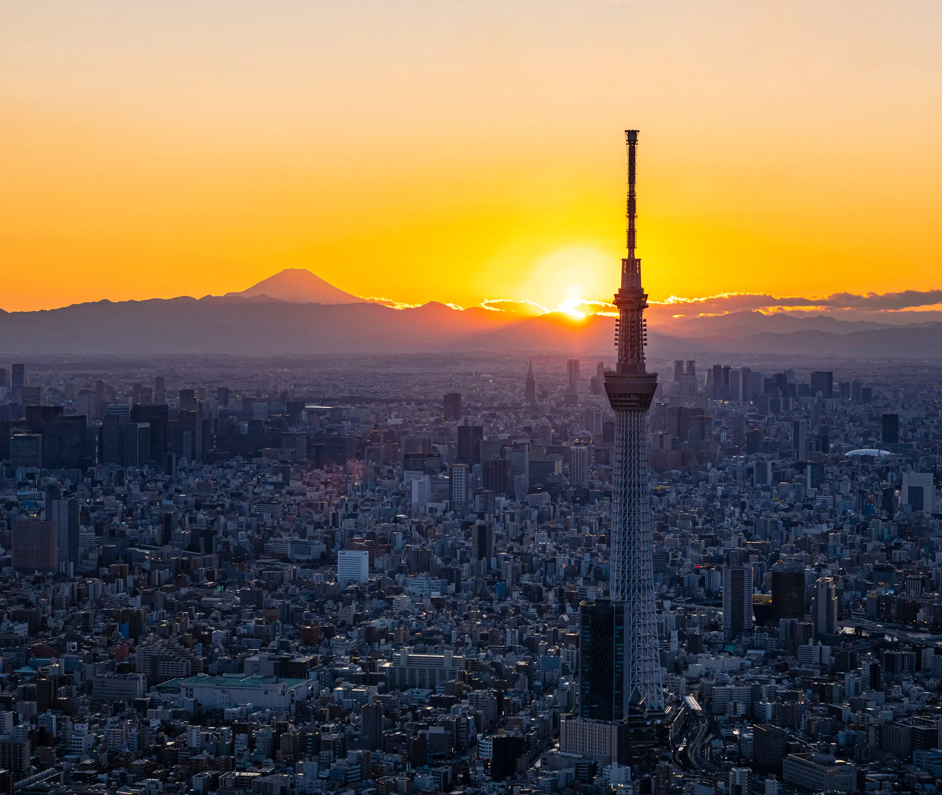 黄金色の夕焼けに染まる東京の街並み。遠くにそびえ立つ東京スカイツリーのシルエットが、夕日に照らされた空に浮かび上がっている。