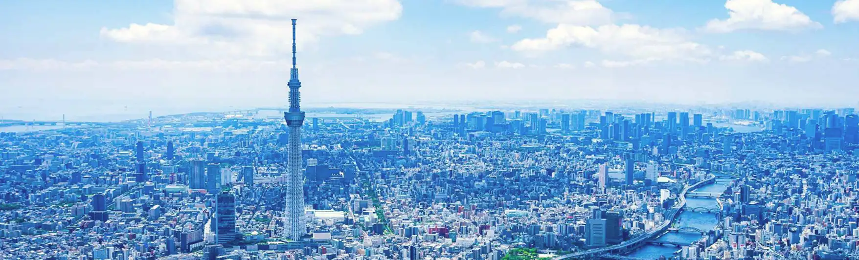 晴天の東京上空から見下ろした広大な街並みのパノラマ写真。中央に東京スカイツリーが立ち、遠くには東京湾の海面と、地平線まで続く都市のビル群が広がっている。