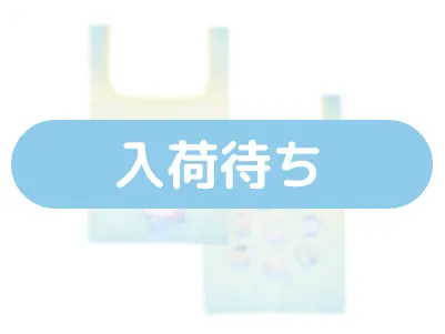 ポケッタブル
エコバッグ
(H540×W330×D115mm)