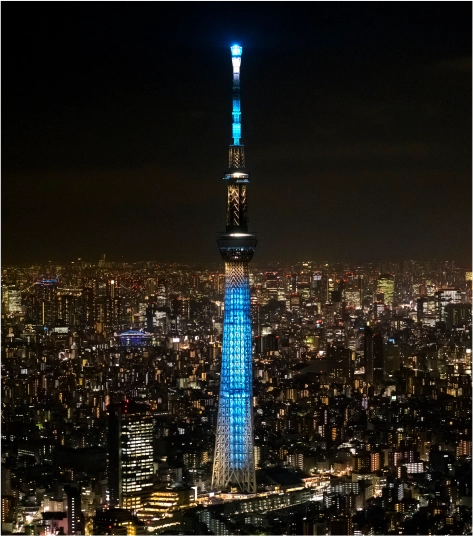 SKYTREE Lighting