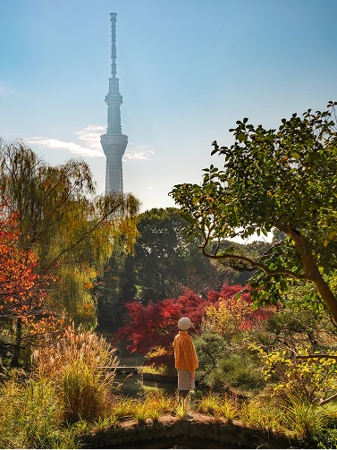 色づいた木々と日本庭園の橋の上に立つ人物、奥に見える東京スカイツリー