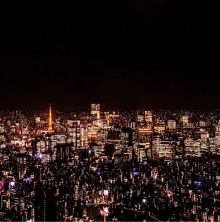 東京タワーが見える東京の煌びやかな夜景パノラマ