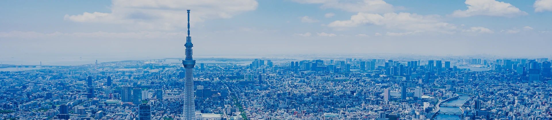 東京の街並みと隅田川を見下ろす昼間のパノラマ風景