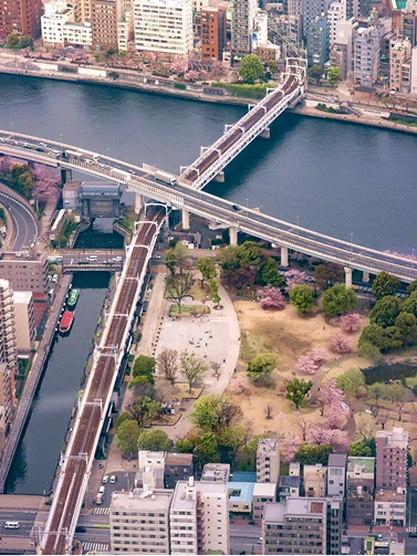 展望台から見下ろす隅田公園の桜と川に架かる橋