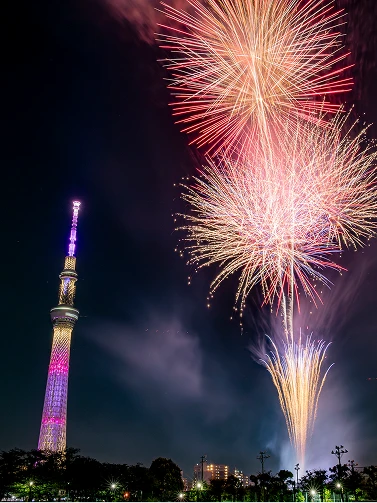 夜空に打ち上がる大きな花火とライトアップされた東京スカイツリー