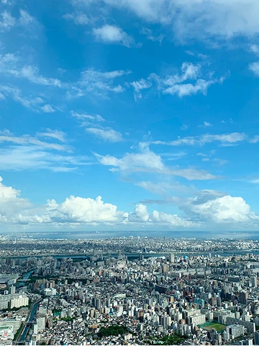 展望台から見下ろす青空と白い雲が広がる夏の東京の街並み