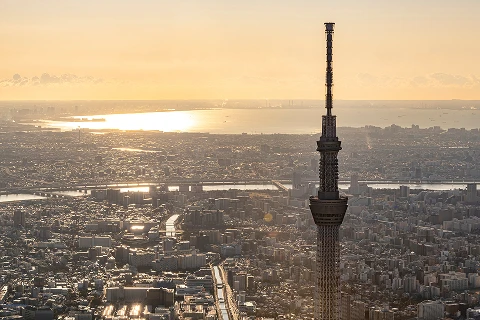夕日に照らされ黄金色に輝く東京スカイツリーと川沿いの街並み