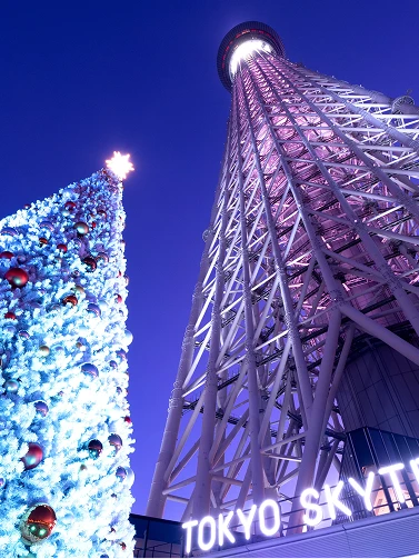 紫やピンク色にライトアップされた東京スカイツリーとイルミネーションが輝く大きなクリスマスツリー