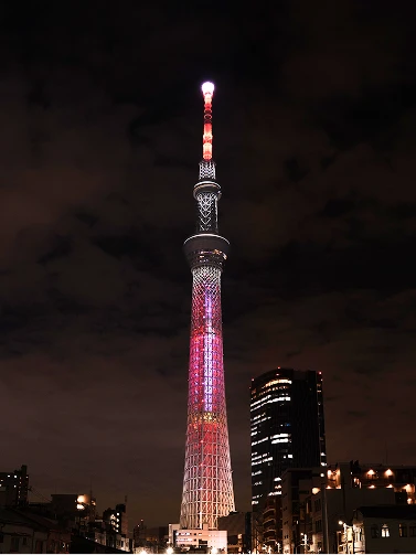 夜空を背景に赤紫色にライトアップされた東京スカイツリー