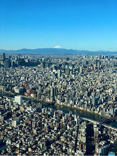展望台から見下ろす、青空の彼方に冠雪した富士山が見える東京の街並み