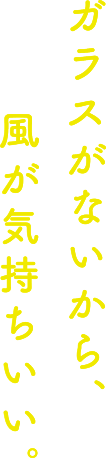 ガラスがないから、風が気持ちいい。