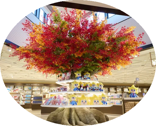 画像：紅葉のシンボルツリー