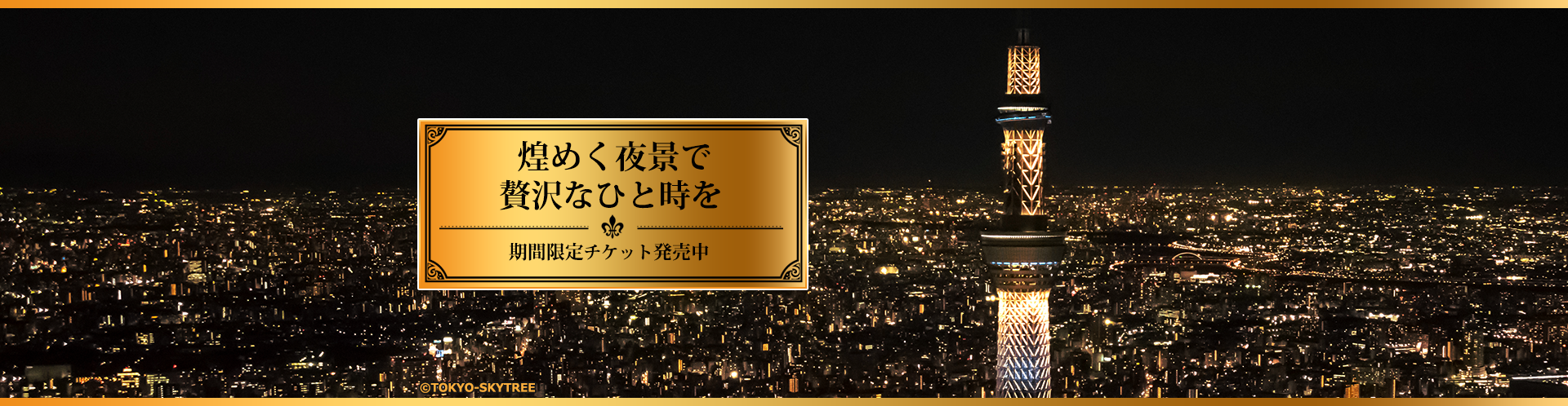煌めく夜景で贅沢なひと時を 期間限定チケット発売中