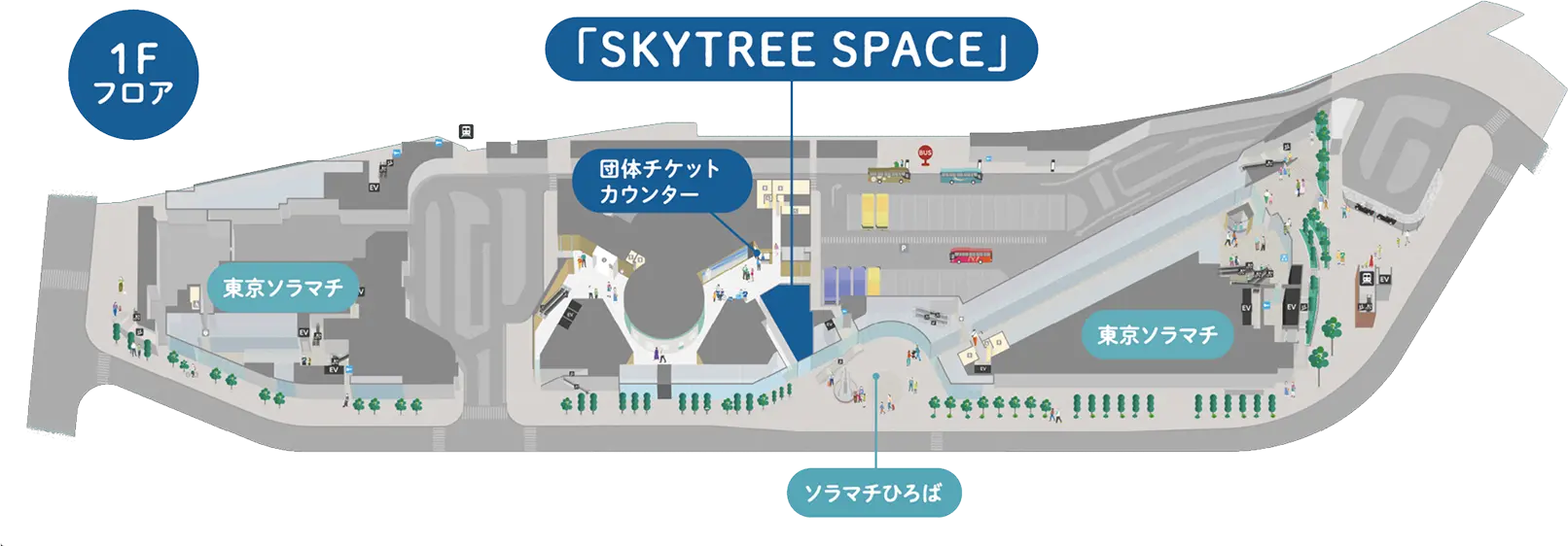 東京スカイツリー1F「SKYTREE SPACE」へのアクセスマップ