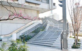Hanami-zaka Stairs