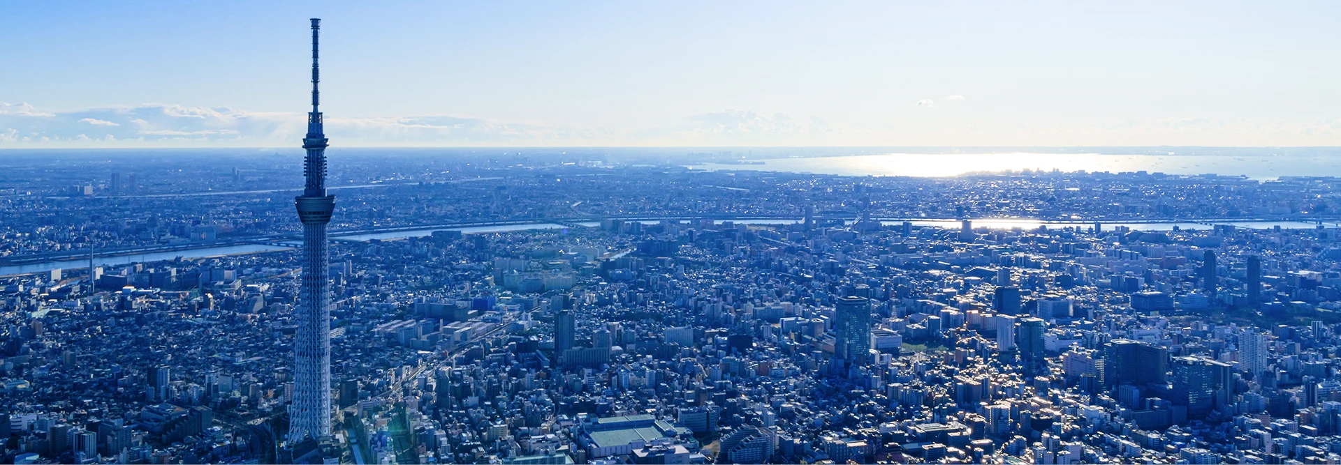 東京スカイツリーと東京の街並みを昼間に一望した風景