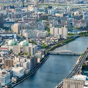 隅田川に架かる橋と東京の下町の街並みを捉えた俯瞰写真