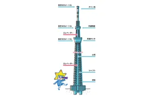 次のページへ<br>（2）東京スカイツリーの各部紹介