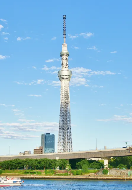 伝統建築の「むくり」を表現したタワーの外形